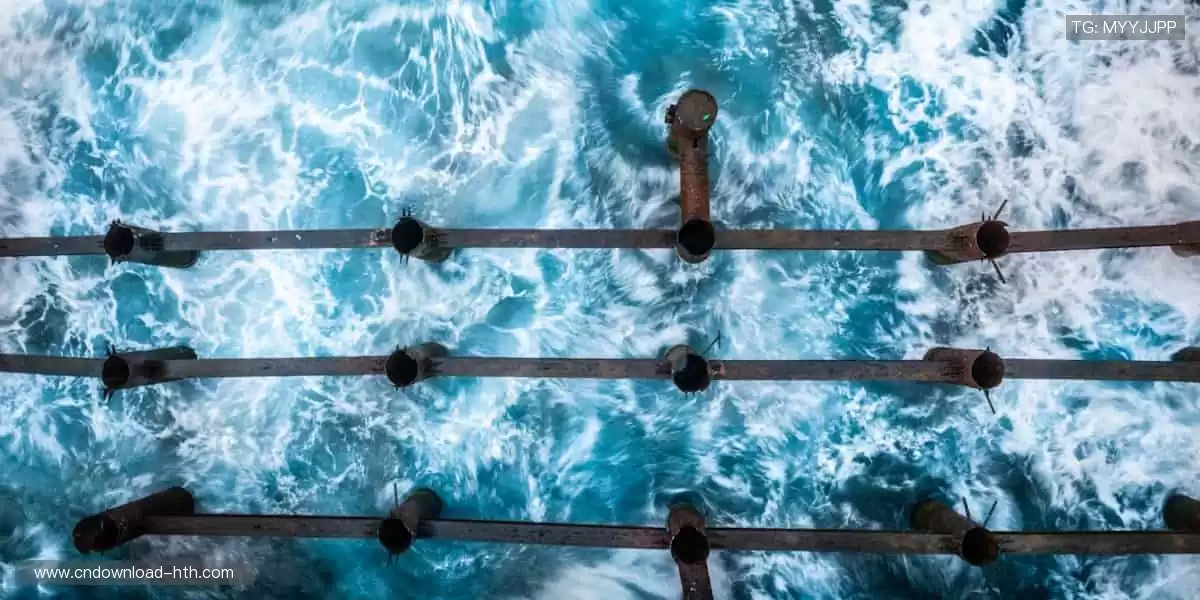 品质之选，彰显球迷身份！💎🏆